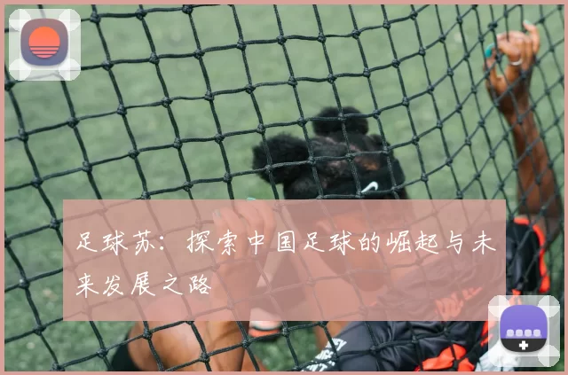 足球苏：探索中国足球的崛起与未来发展之路