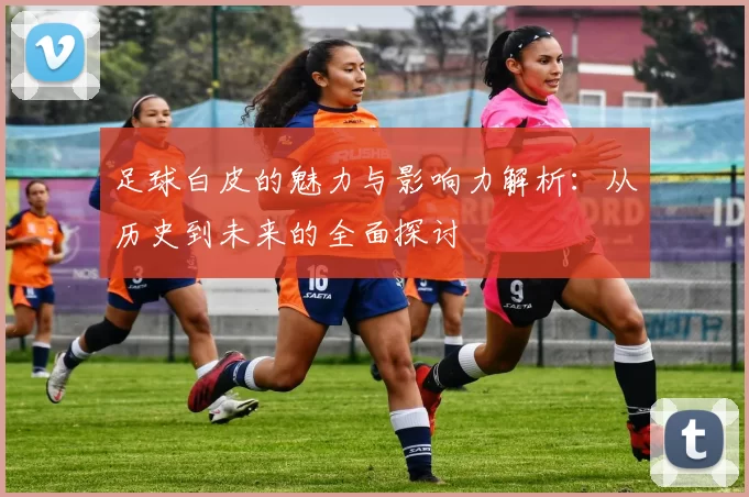 足球白皮的魅力与影响力解析：从历史到未来的全面探讨